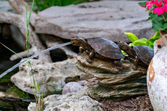 Aquascape double turtle on a log spitter