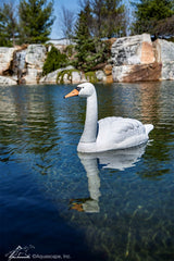 Photo of Aquascape Floating Swan Decoy - Aquascape Canada